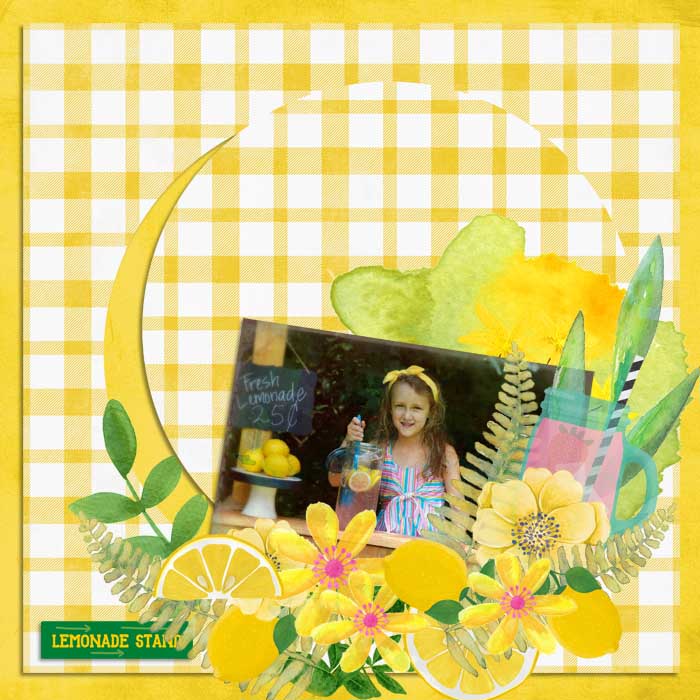 Lemonade_Stand7