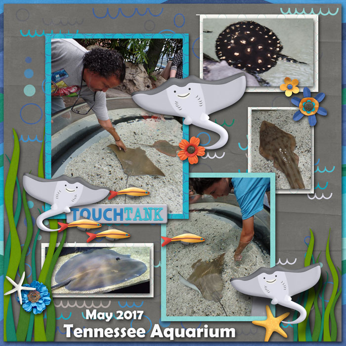 May-2017-Chattanooga-Aquar