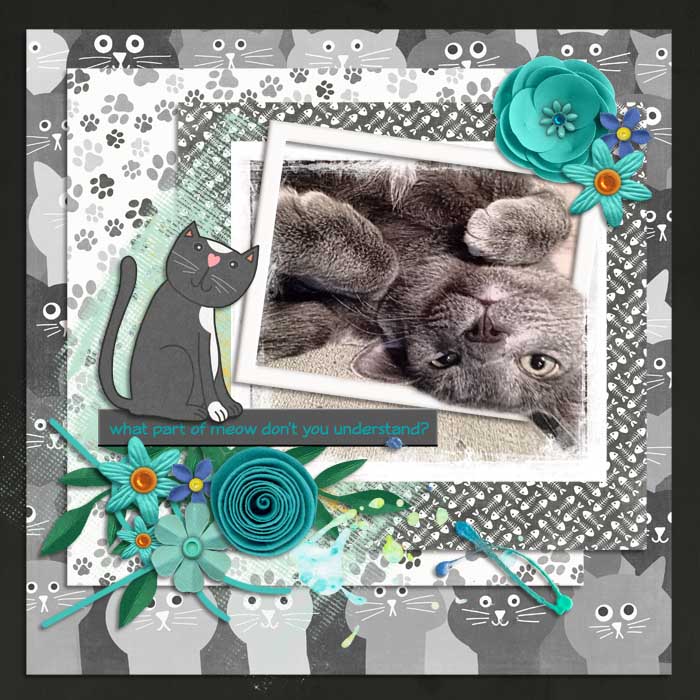 Meow7