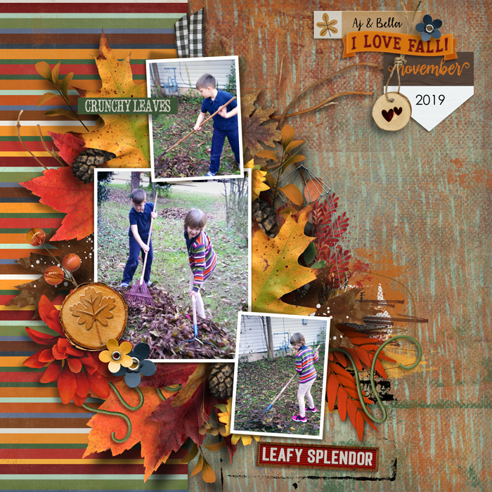 Nov-2019-Racking-Leaves