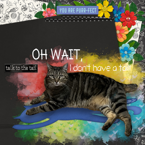 Oh-Wait