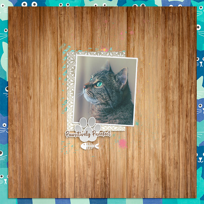 PurrfectKitty