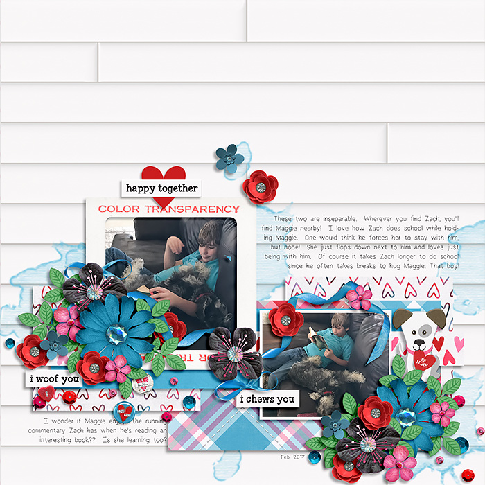 Robin_Candyland-SSD
