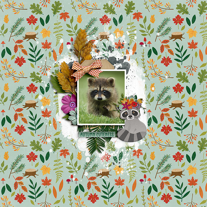 RockyRaccoonTracy