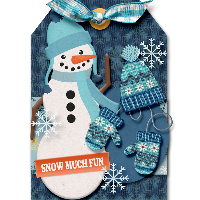 SSD-Snow-Much-Fun-Tag