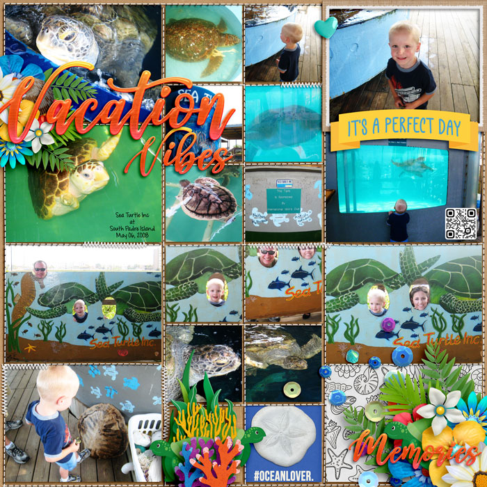 SeaTurtles08web