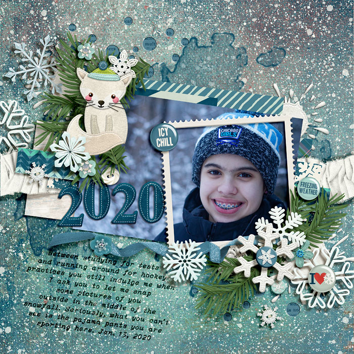 SnowstormFeb2020_Dalis-700