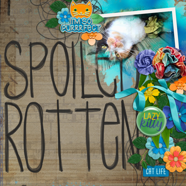 Spoiled-Rotten3