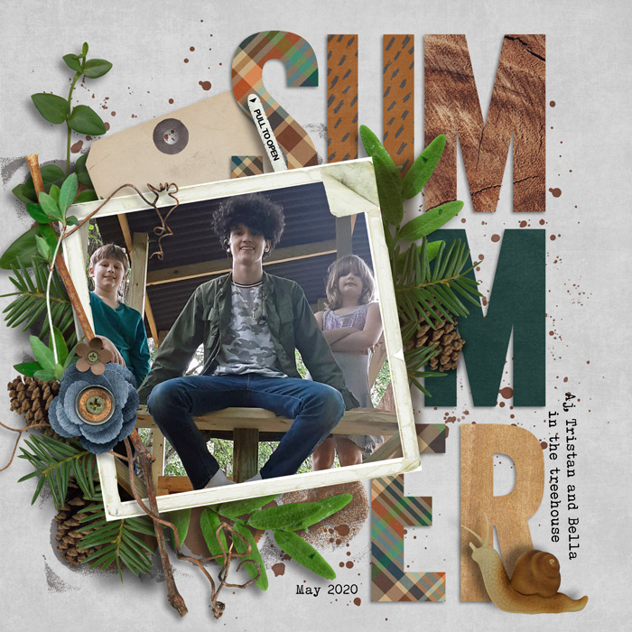 Summer-Treehouse
