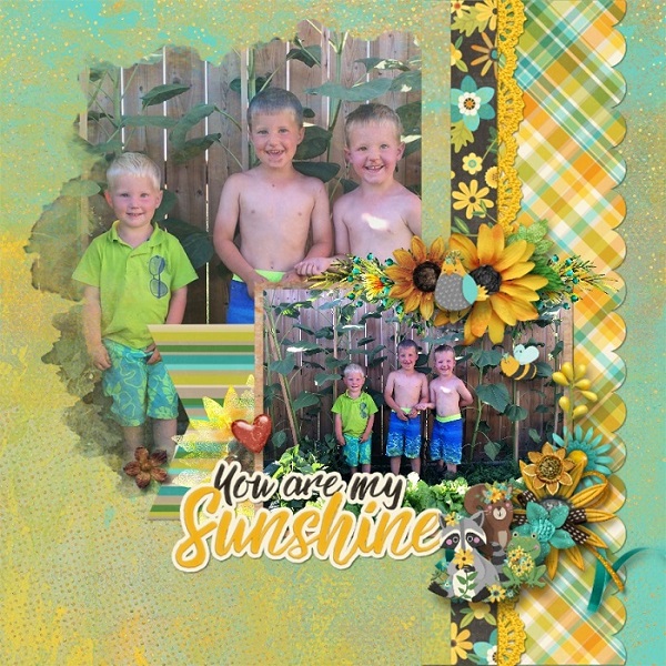 Sunflower_-_Rochelle