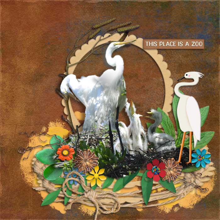 This_Place_is_a_Zoo700