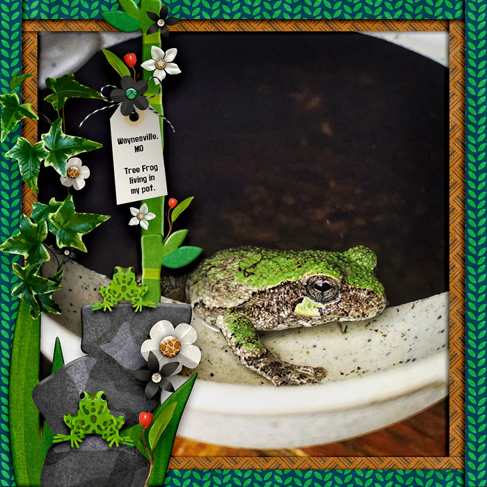 TreeFrog