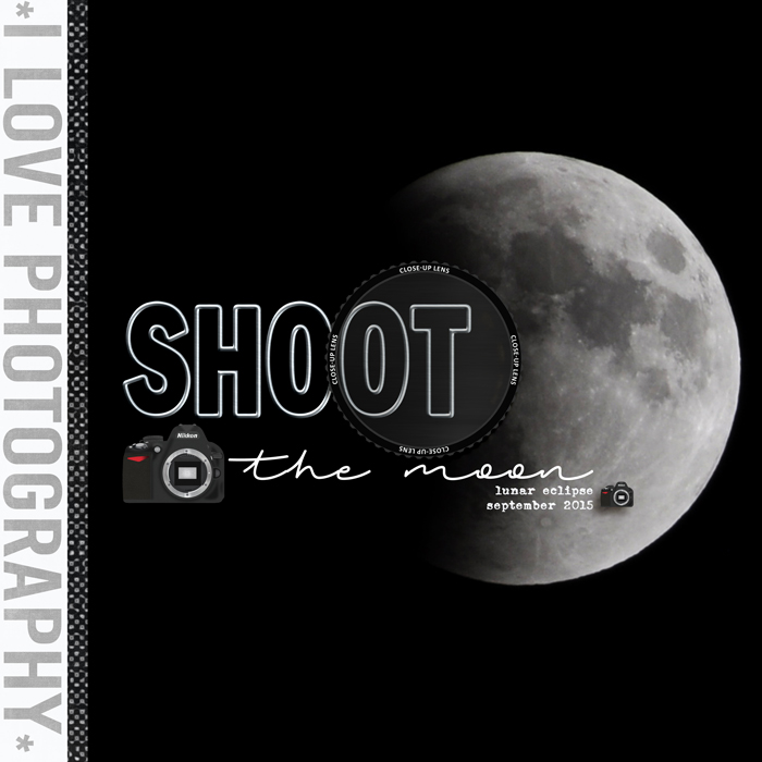 Untitled-7005