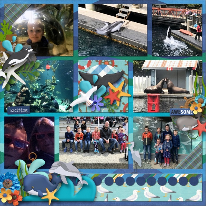Whale_-_Rochelle