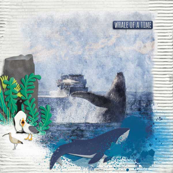 Whale_of_a_Time1