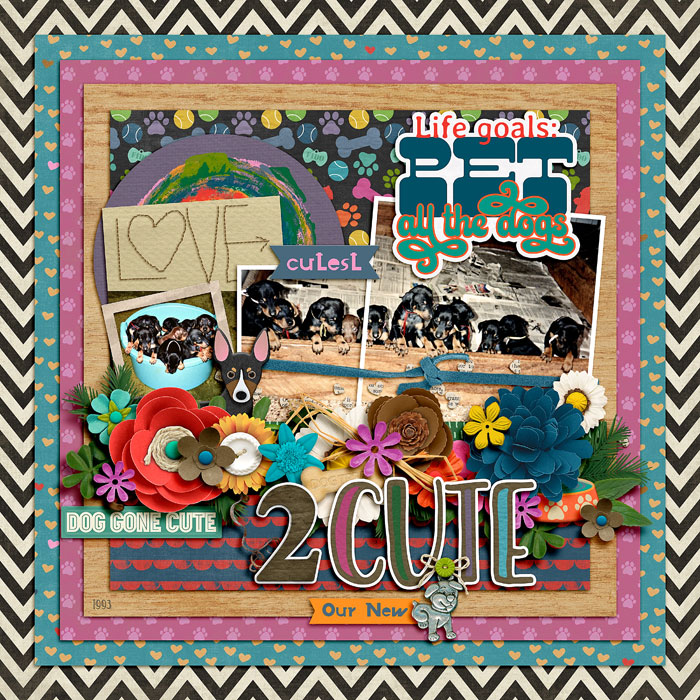 adoglifecmg1-700