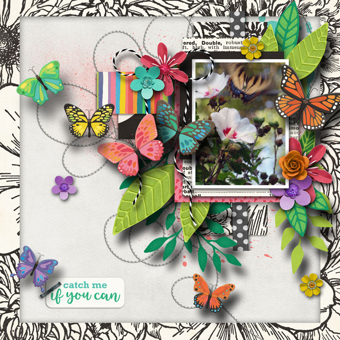 butterfly-template-2