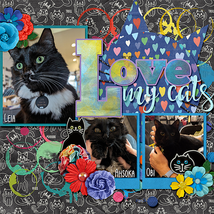 cats-2324