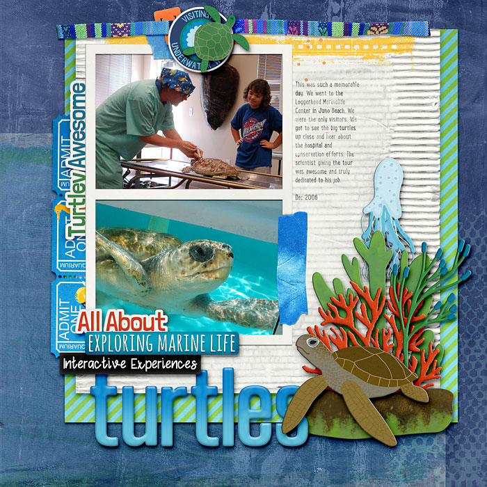 clevermonkeyturtles_web700