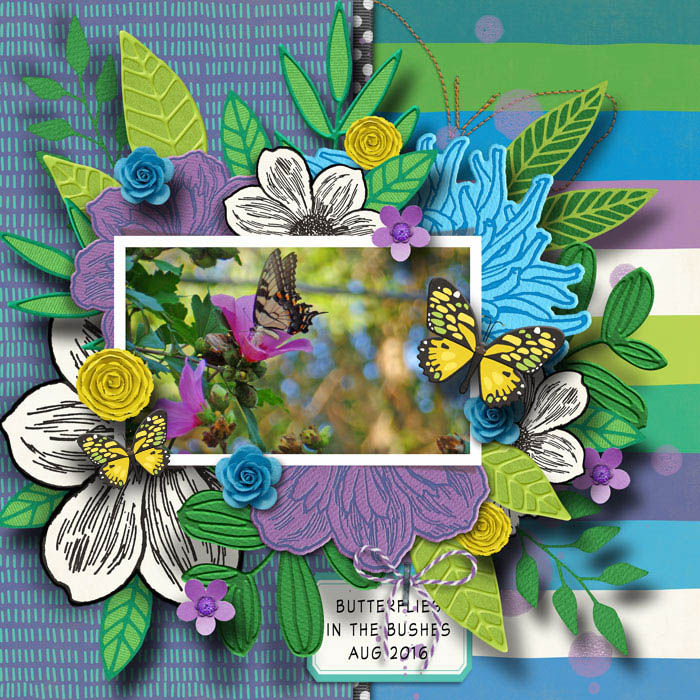 cmg-butterfly-season2020