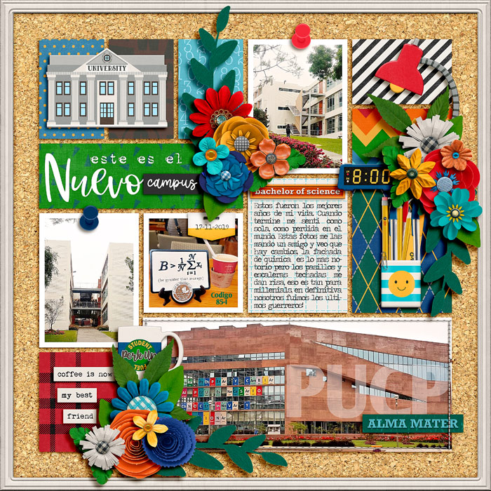 cmg-college-life1-700