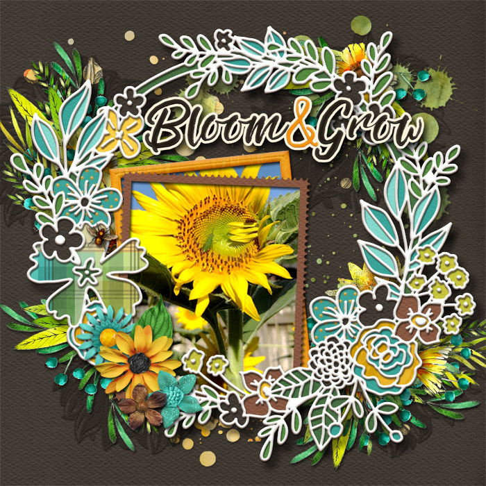 cmg-digicut-shell-wreath-sunflower-sayings