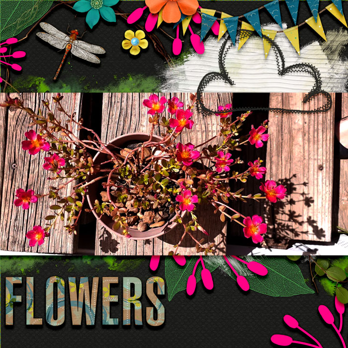 cmg-floral-doodles2_Springy