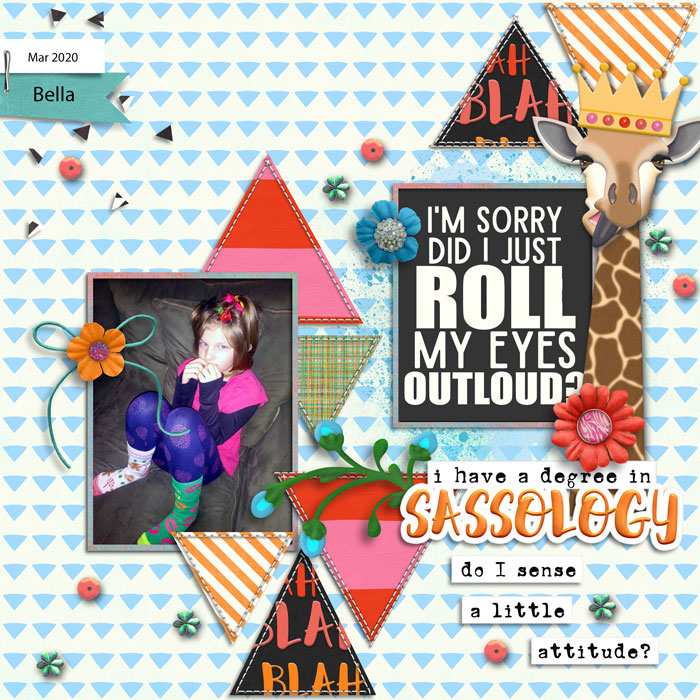 cmg-geometric-template-sassitude