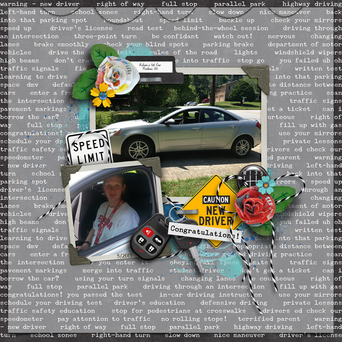 cmg-learn2drive-New-car