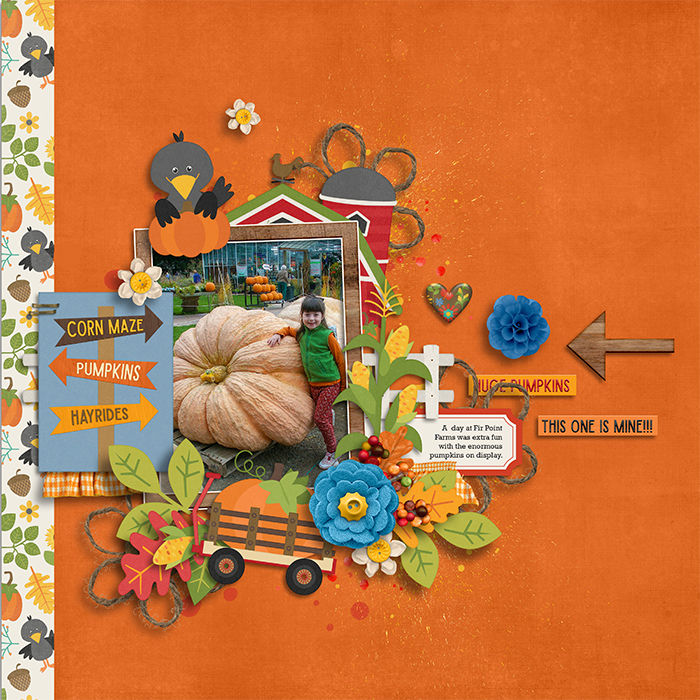 cmg-pumpkin-palooza-cards-tracey1