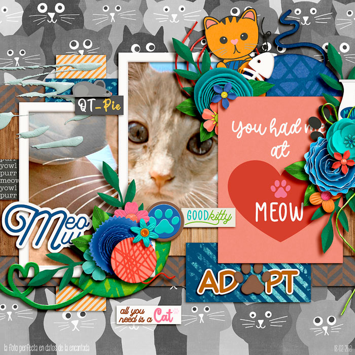 cmg-purrfect-kitty1-700