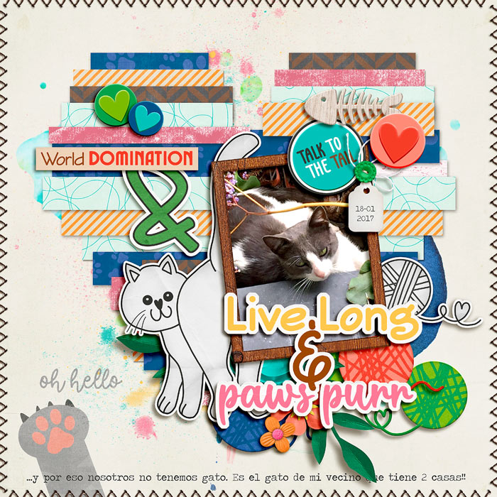 cmg-purrfect-kitty2-700
