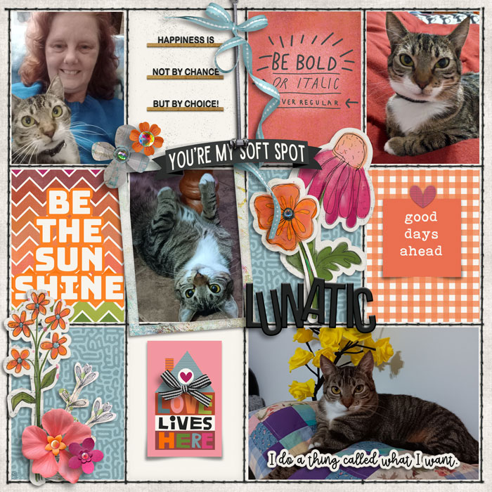 cmg-snarktastic-positivity_Lunatic