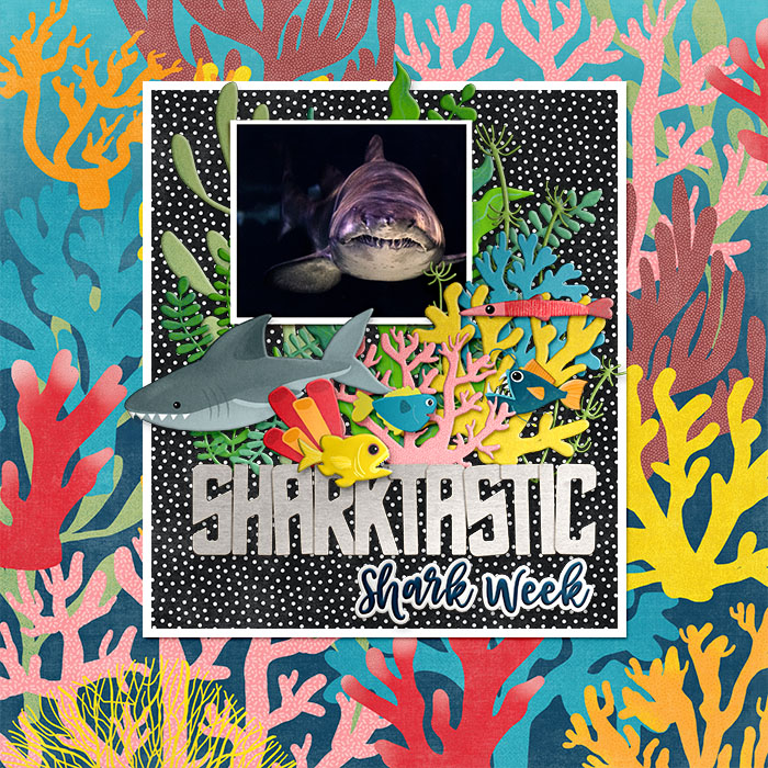 eekasharkTRACY