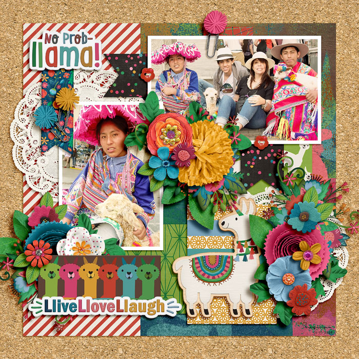 llamallovecmg1-aqp-700