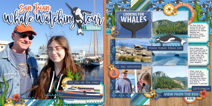 San Juan Whale Watching Day Trip