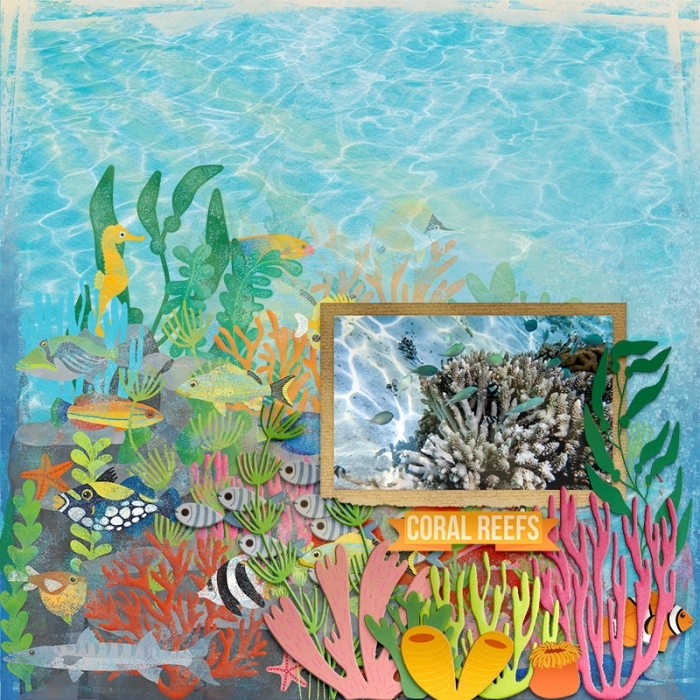 CM_Ocean_Aquairium