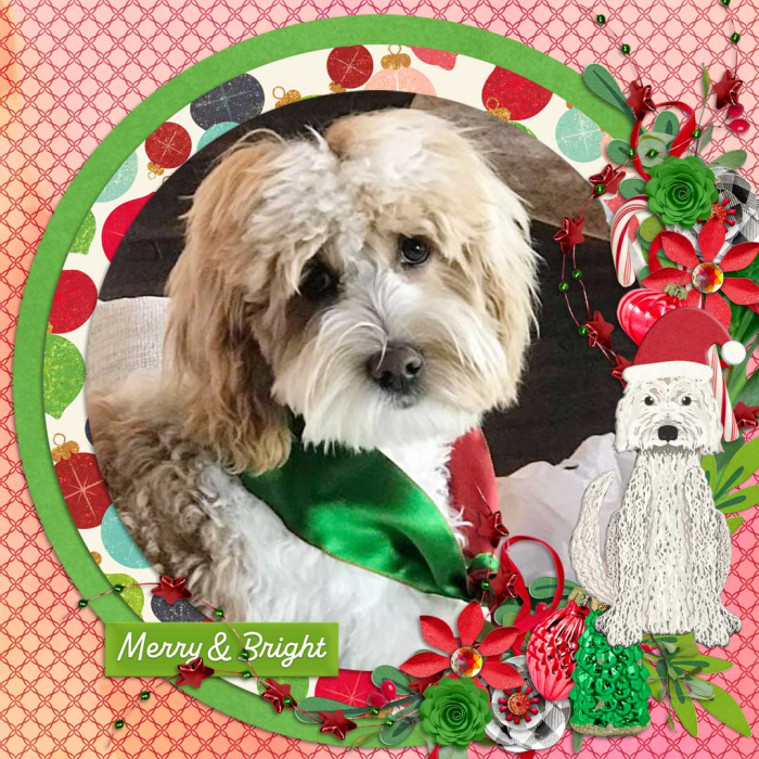 Merry and Bright