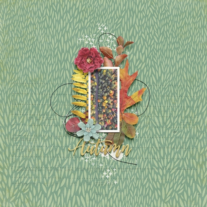 cmg-autumn-adventure