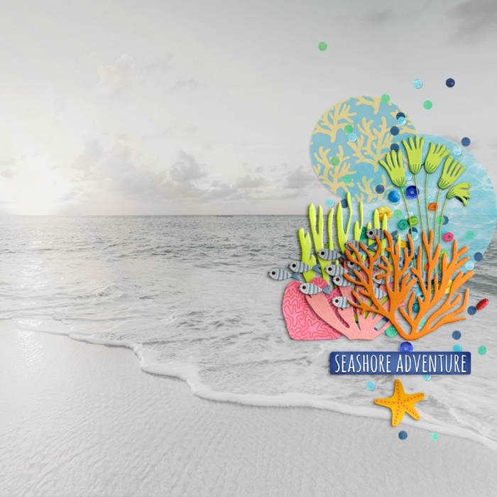 cmg_ocean