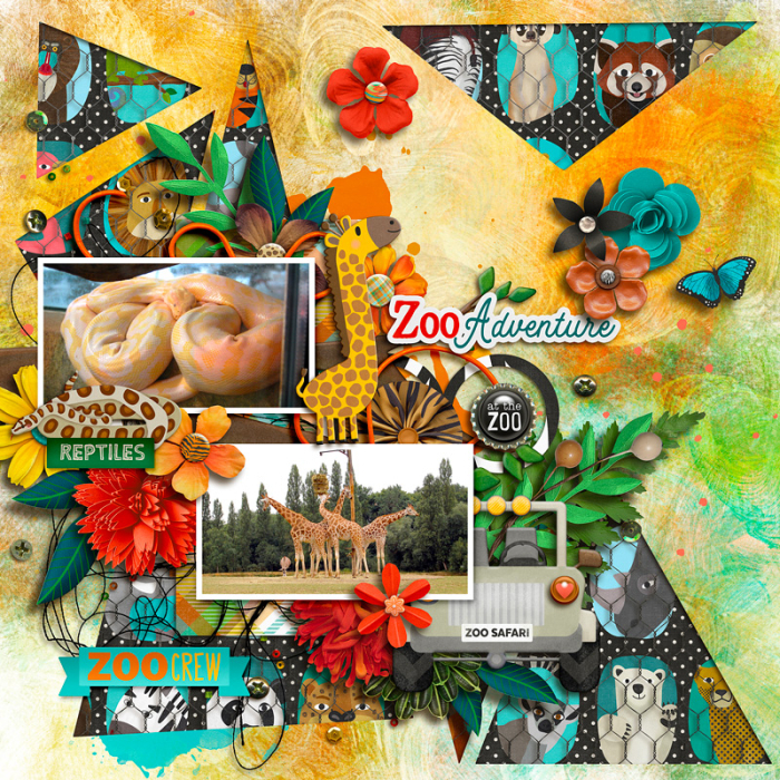 Zoo adventure