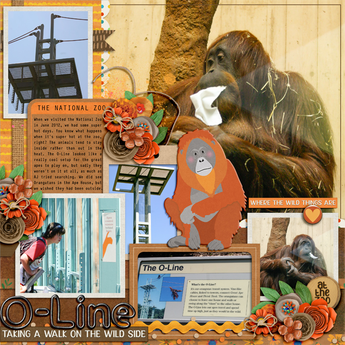 olineWEB