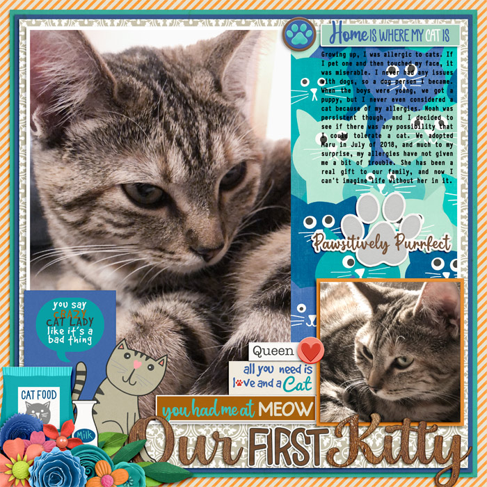 ourfirstkittyWEB