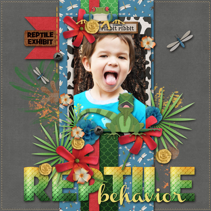 reptile-behavior