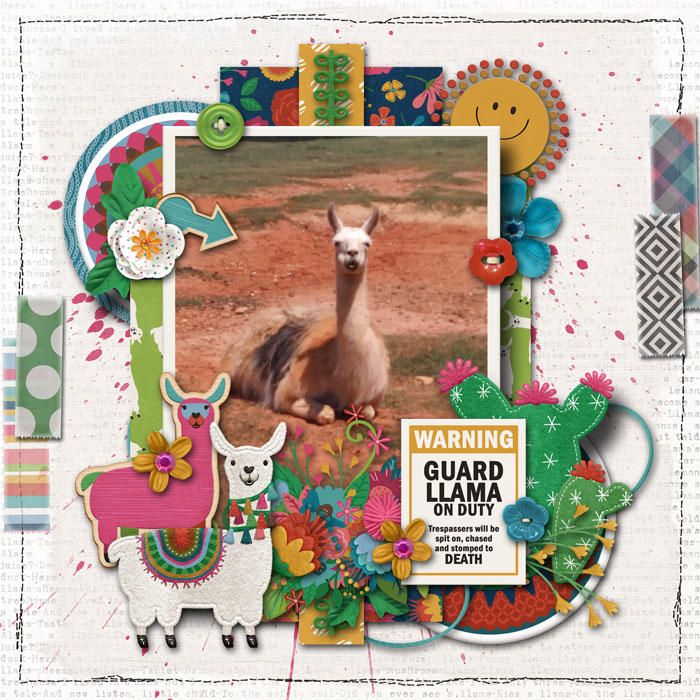 sept-2017-Llama