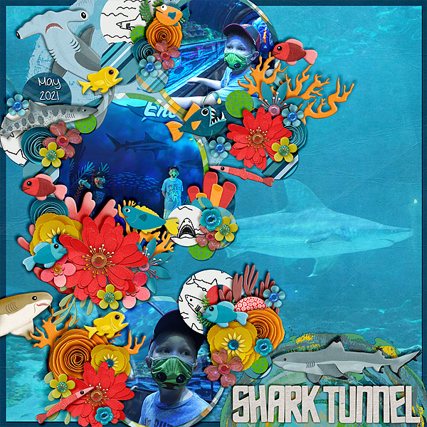 shark-tunnel-sw521