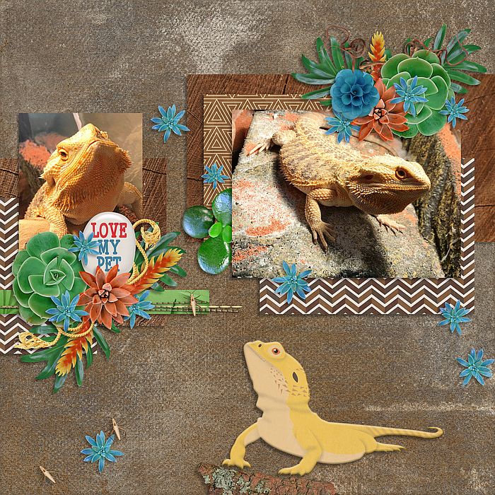 southernserenity_brandnewday4_cmgcbl_sized