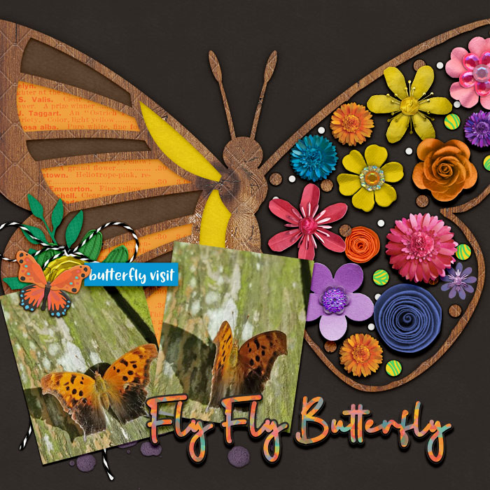 tckds-springtime_cmg_butterflyseason