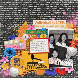 1993-volleyballislife_700.jpg