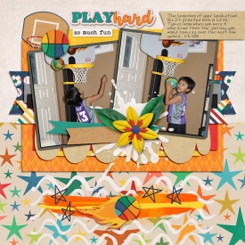 2010-01-02-playhard_sm.jpg